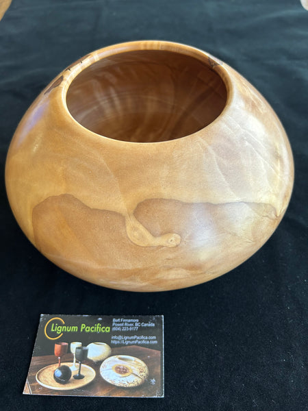 60  Alder Burl Vessel