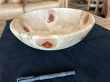 72  Monkey Puzzle Bowl Medium Size