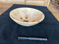 73  Monkey Puzzle Bowl Small