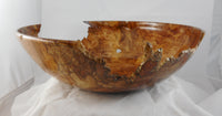 042  Big Leaf Maple Burl Bowl