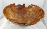 042  Big Leaf Maple Burl Bowl