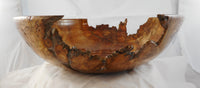 042  Big Leaf Maple Burl Bowl