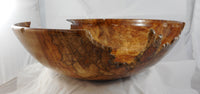 042  Big Leaf Maple Burl Bowl