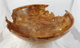 042  Big Leaf Maple Burl Bowl