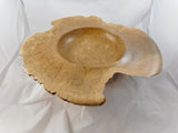 034 Yellow Box Burl Bowl