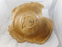 034 Yellow Box Burl Bowl