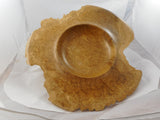 034 Yellow Box Burl Bowl